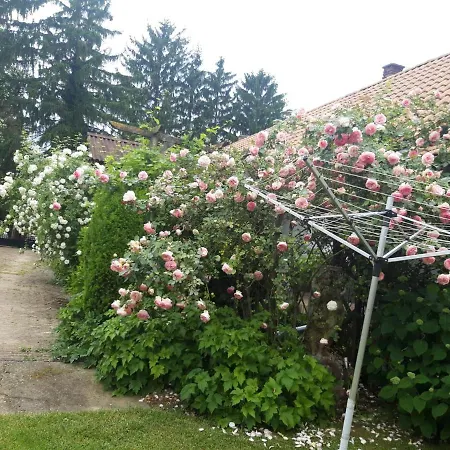 Ferienhaus Somogyszil